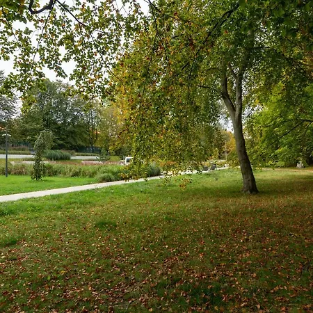 Avis Aleja Pilsudskiego